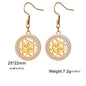 Zircon Round Earring