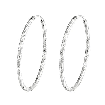 Fashion CZ Circle Hoop Earrings